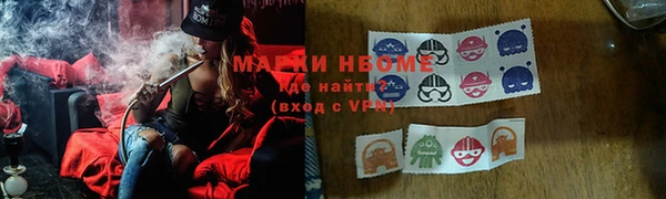 молекула духа Арсеньев