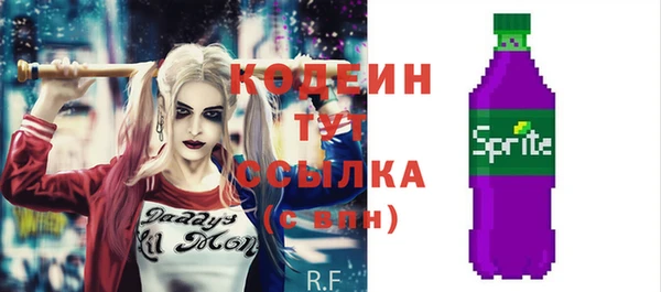 молекула духа Арсеньев