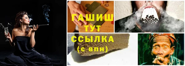 стаф Аркадак