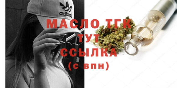 молекула духа Арсеньев