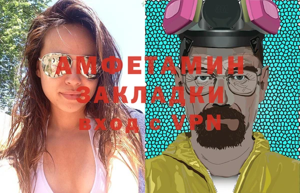 молекула духа Арсеньев