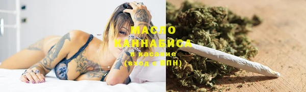 молекула духа Арсеньев