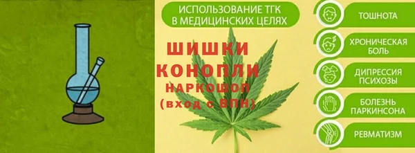 стаф Аркадак