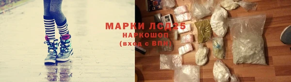 молекула духа Арсеньев
