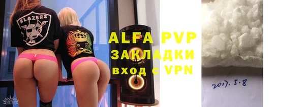 стаф Аркадак