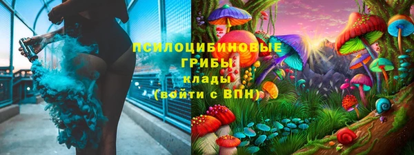 стаф Аркадак