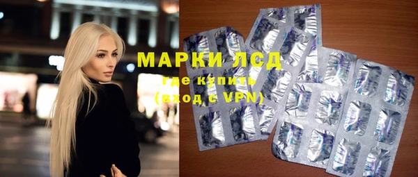 стаф Аркадак